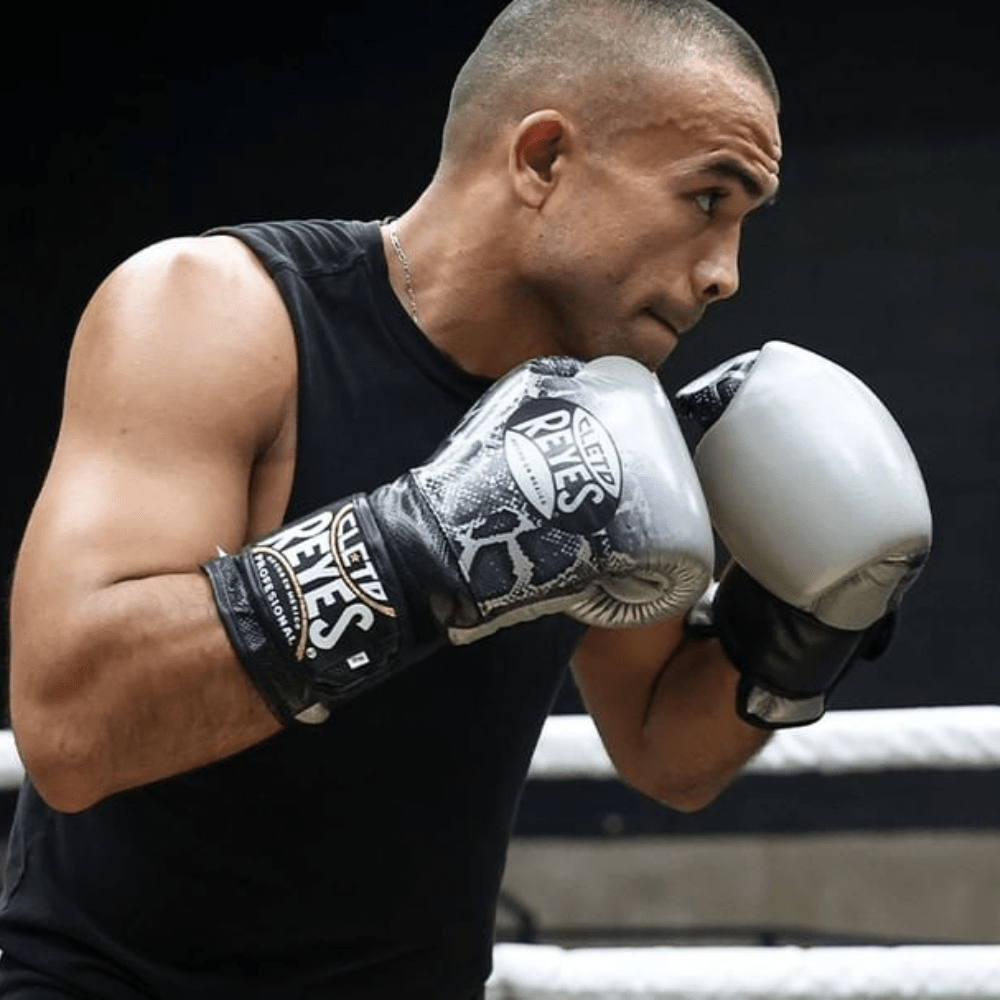Cleto Reyes Steel Snake Training Boxing Gloves Boxing Gloves Cleto Reyes