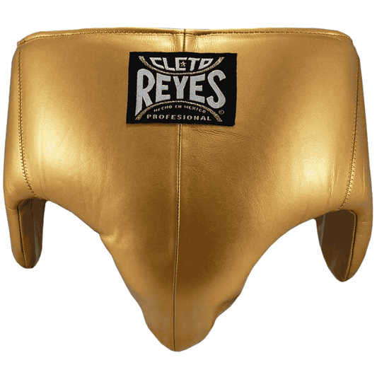Cleto Reyes Kidney and Foul Protection Cup Groin Guards Cleto Reyes Gold Small
