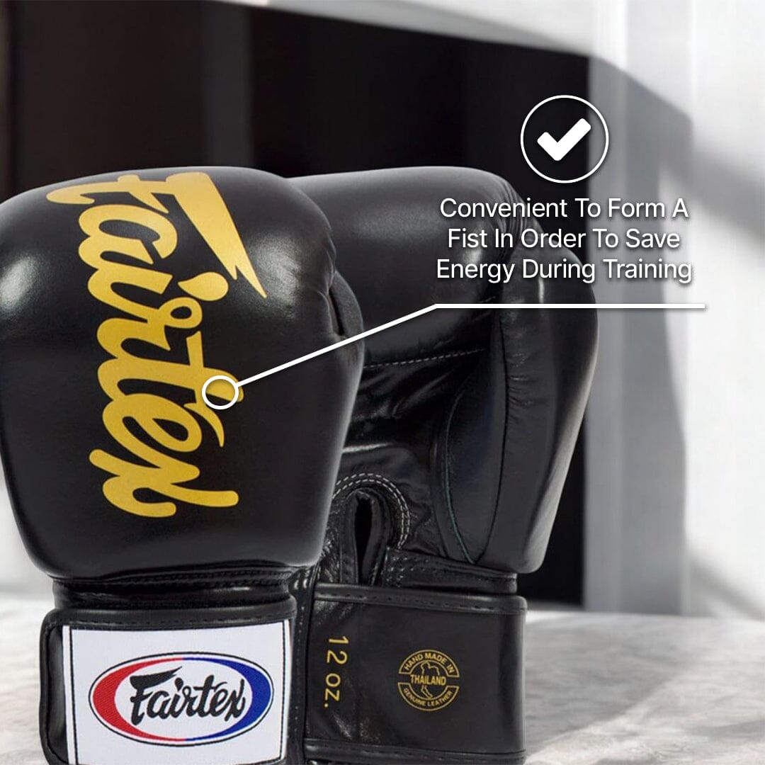 Fairtex BGV19 Deluxe Boxing Gloves Muay Thai Gloves Fairtex