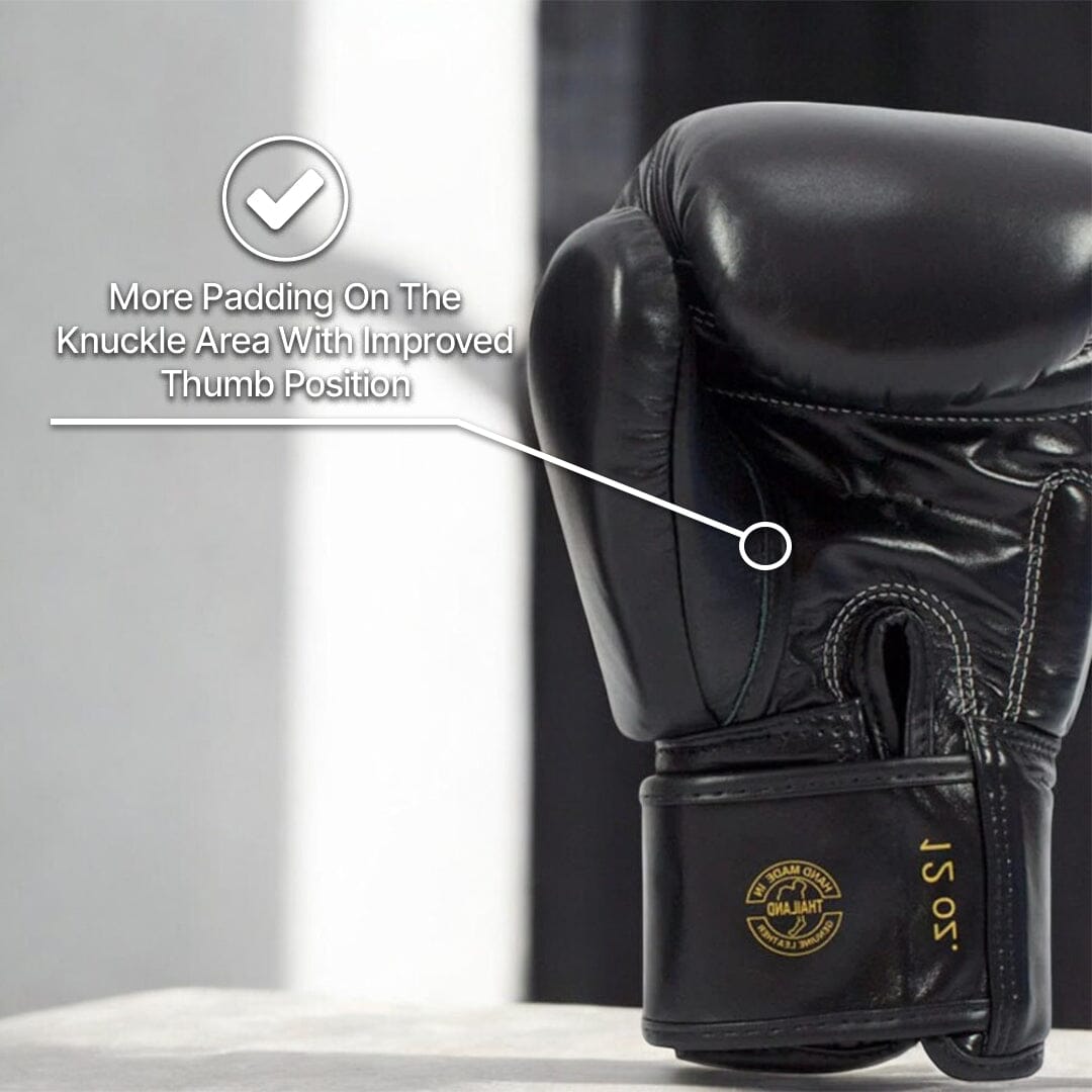 Fairtex BGV19 Deluxe Boxing Gloves Muay Thai Gloves Fairtex