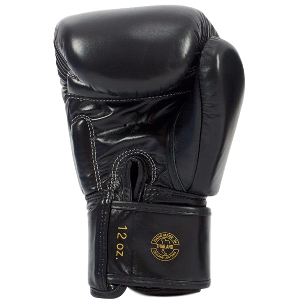Fairtex BGV19 Deluxe Boxing Gloves Muay Thai Gloves Fairtex