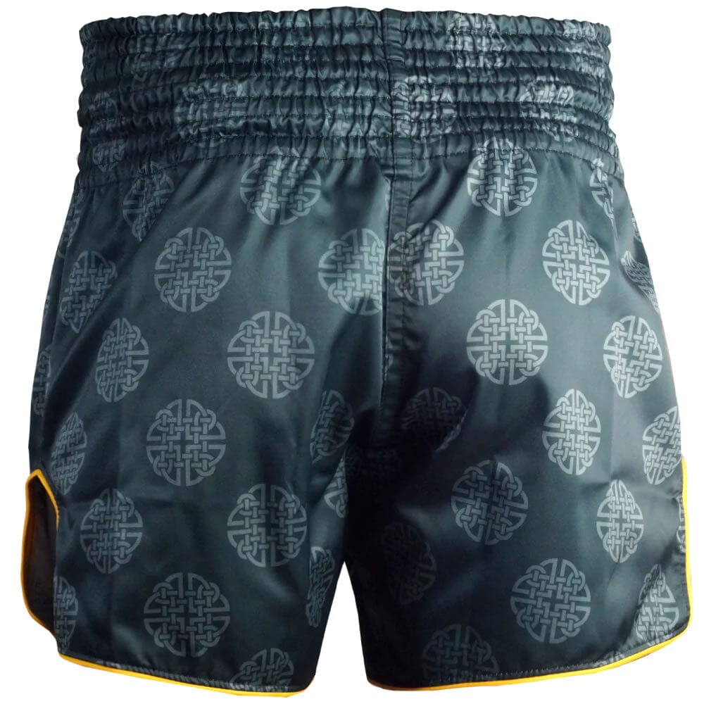 Fairtex BS1915 Clubber Muay Thai Shorts Muay Thai Shorts Fairtex