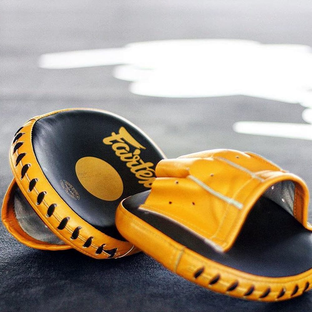 Fairtex FMV15 Micro Focus Mitts Focus Mitts Fairtex