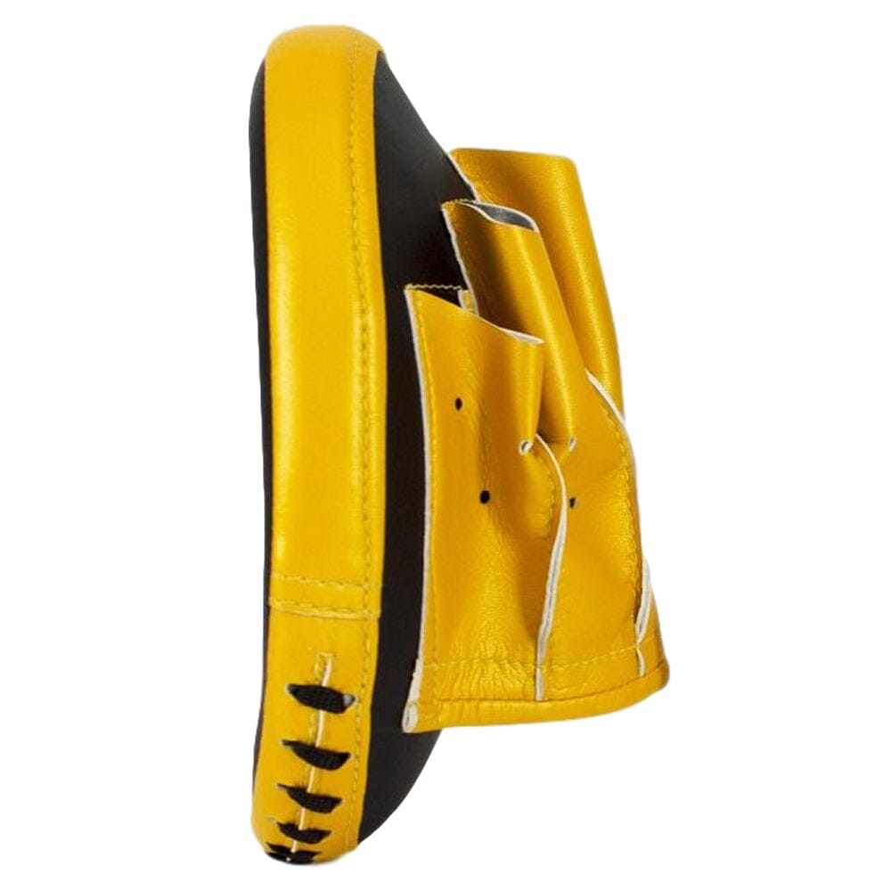 Fairtex FMV15 Micro Focus Mitts Focus Mitts Fairtex