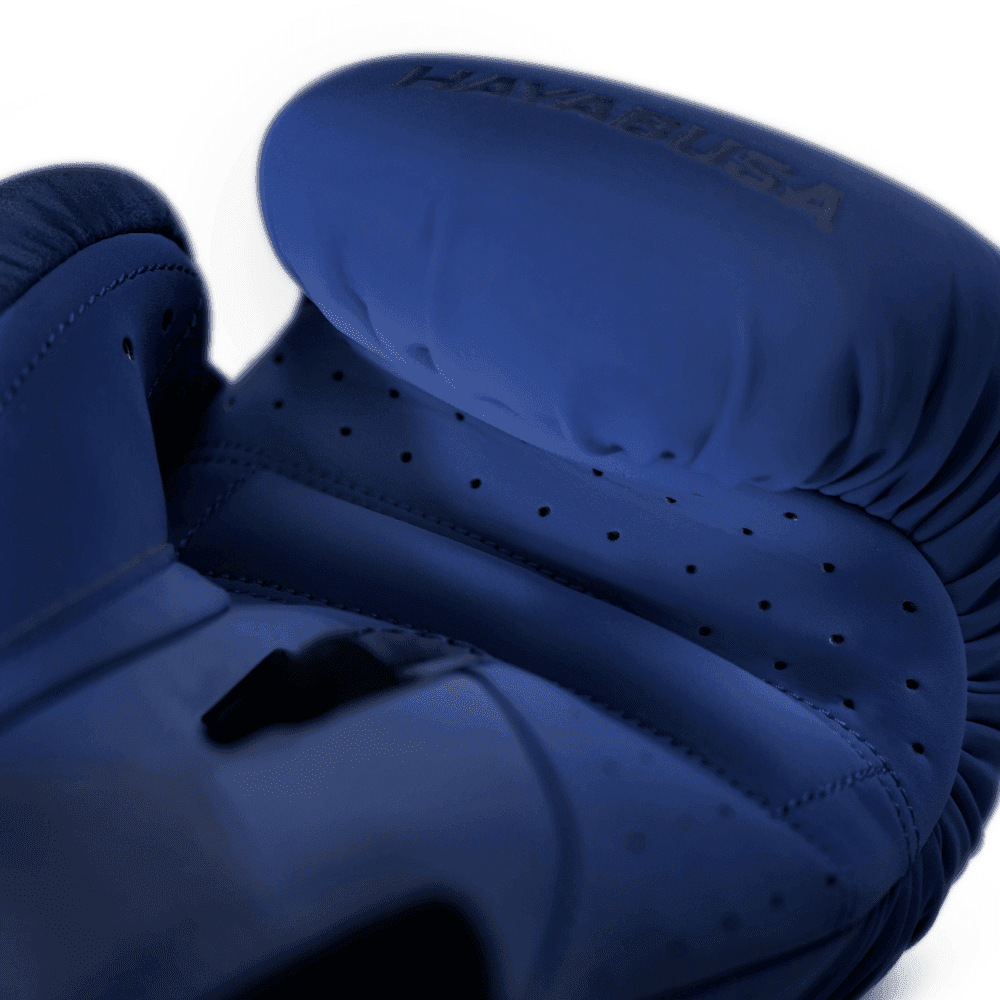 Hayabusa T360 Boxing Gloves Boxing Gloves Hayabusa