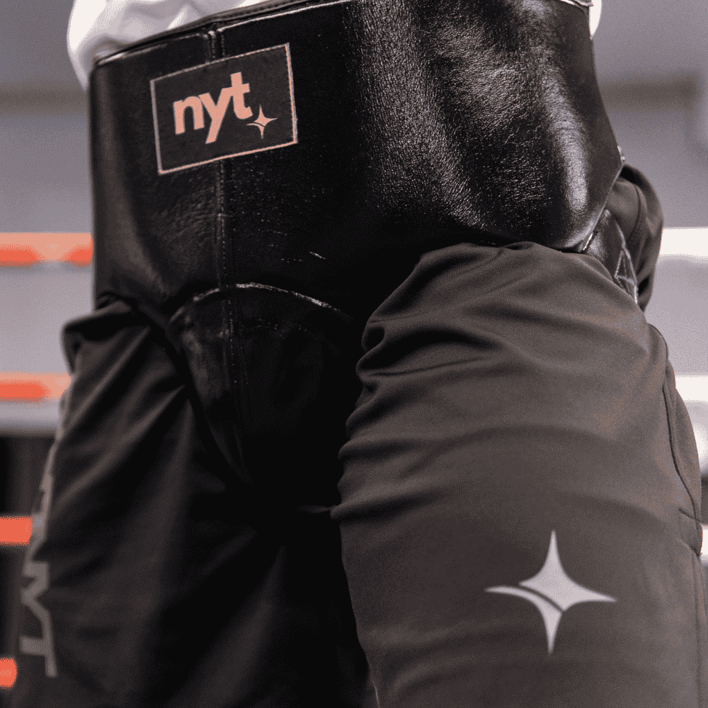 NYT Pro Boxing Groin Guard Groin Guards NYT