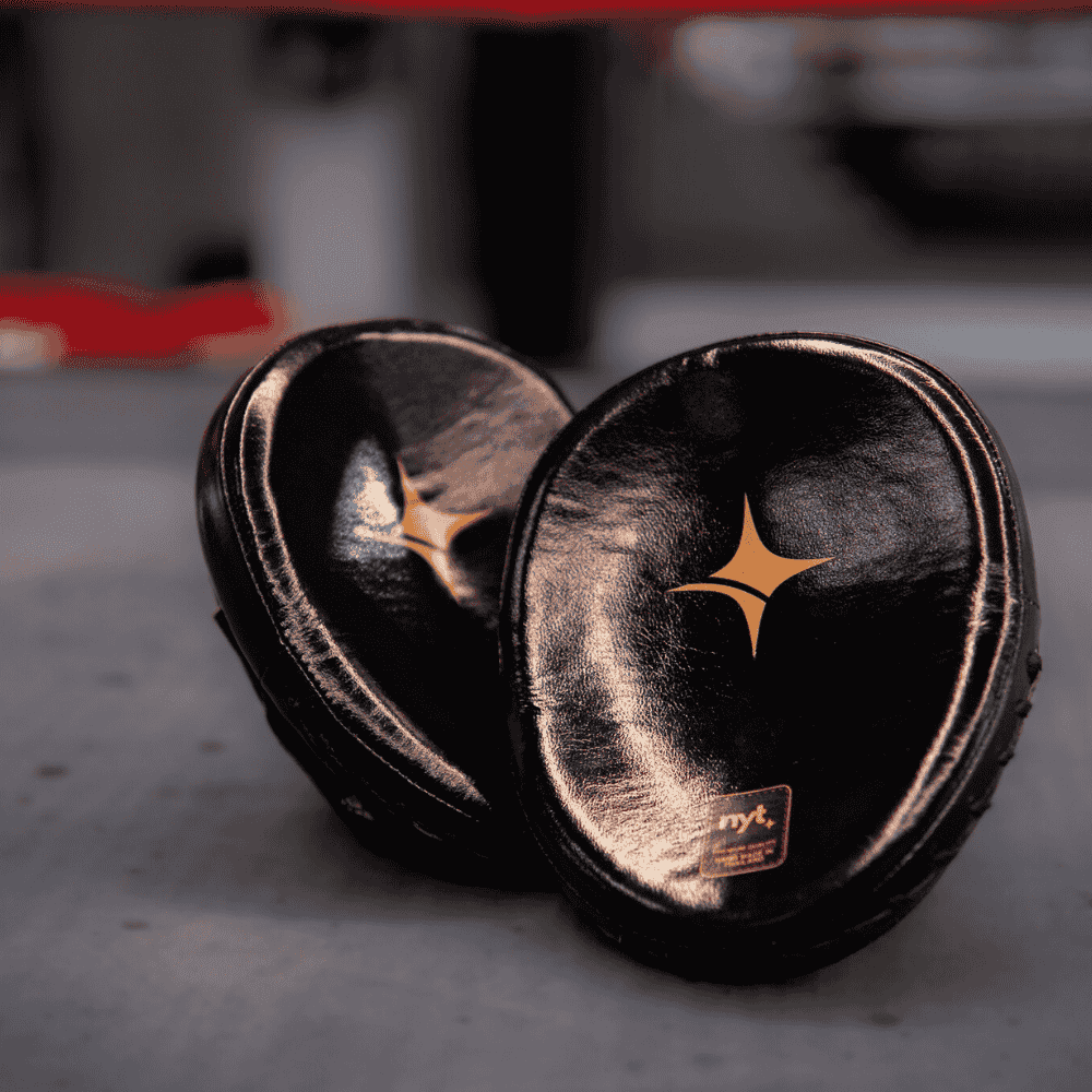 NYT Pro Boxing Micro Mitts Focus Mitts NYT