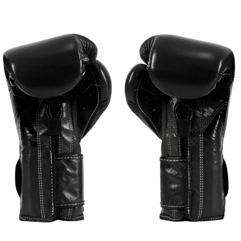 Fairtex Heavy Hitter's Boxing Gloves Black