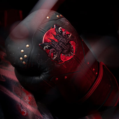 Hayabusa Arcane Vi Cagefighter Boxing Gloves