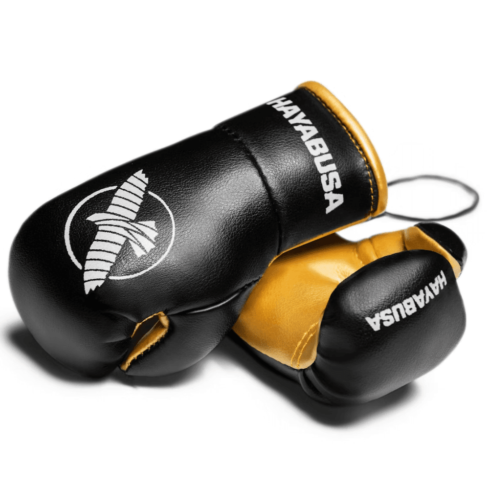 Hayabusa Mini Boxing Gloves