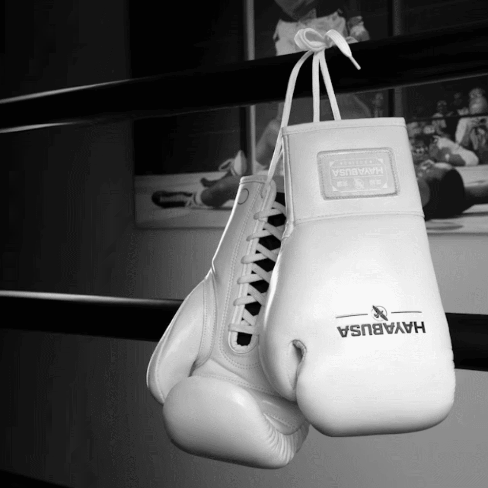Hayabusa Pro Horsehair Fight Boxing Gloves White