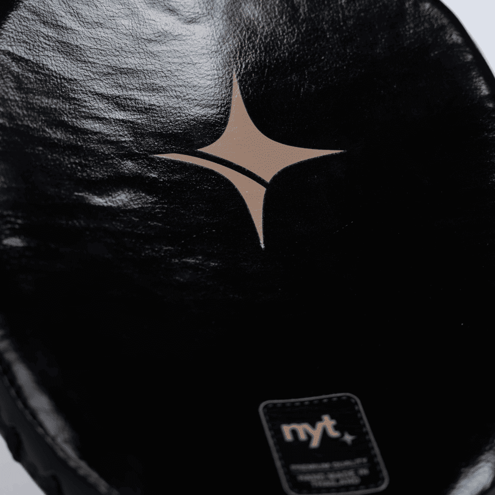 NYT Pro Boxing Micro Mitts Focus Mitts NYT 