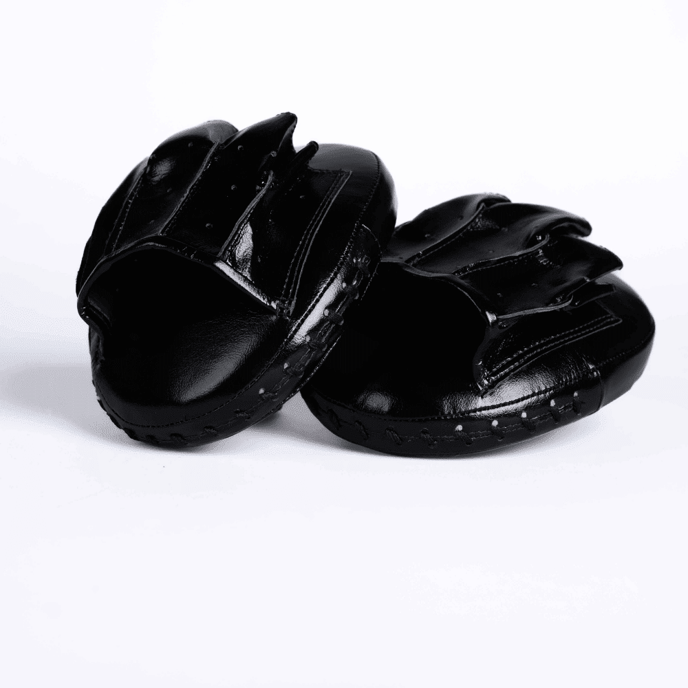 NYT Pro Boxing Micro Mitts Focus Mitts NYT 
